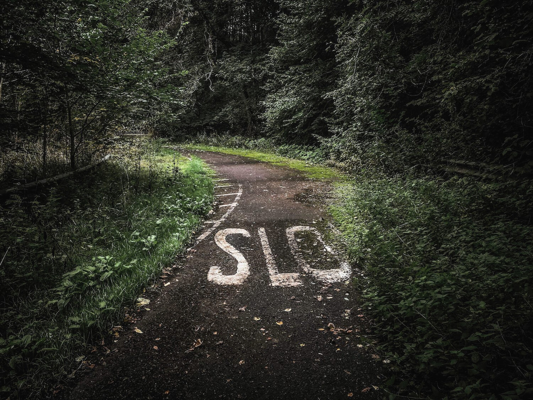 An old road through the woods with the word SLOW painted on it before a bend. The road is overgrown with green foliage, which has made the W disappear, so it now reads SLO.